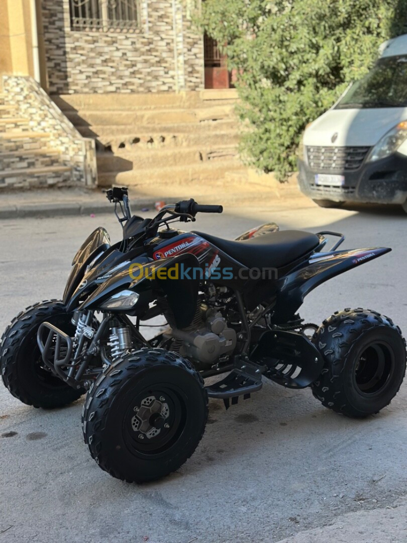 vms Quad 250 cc 2024