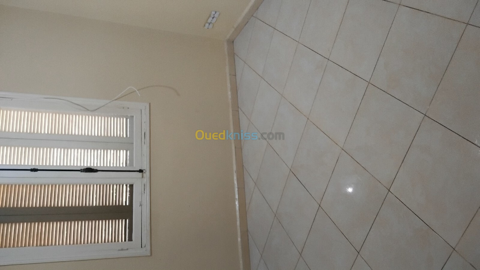 Location Appartement F2 Blida Blida