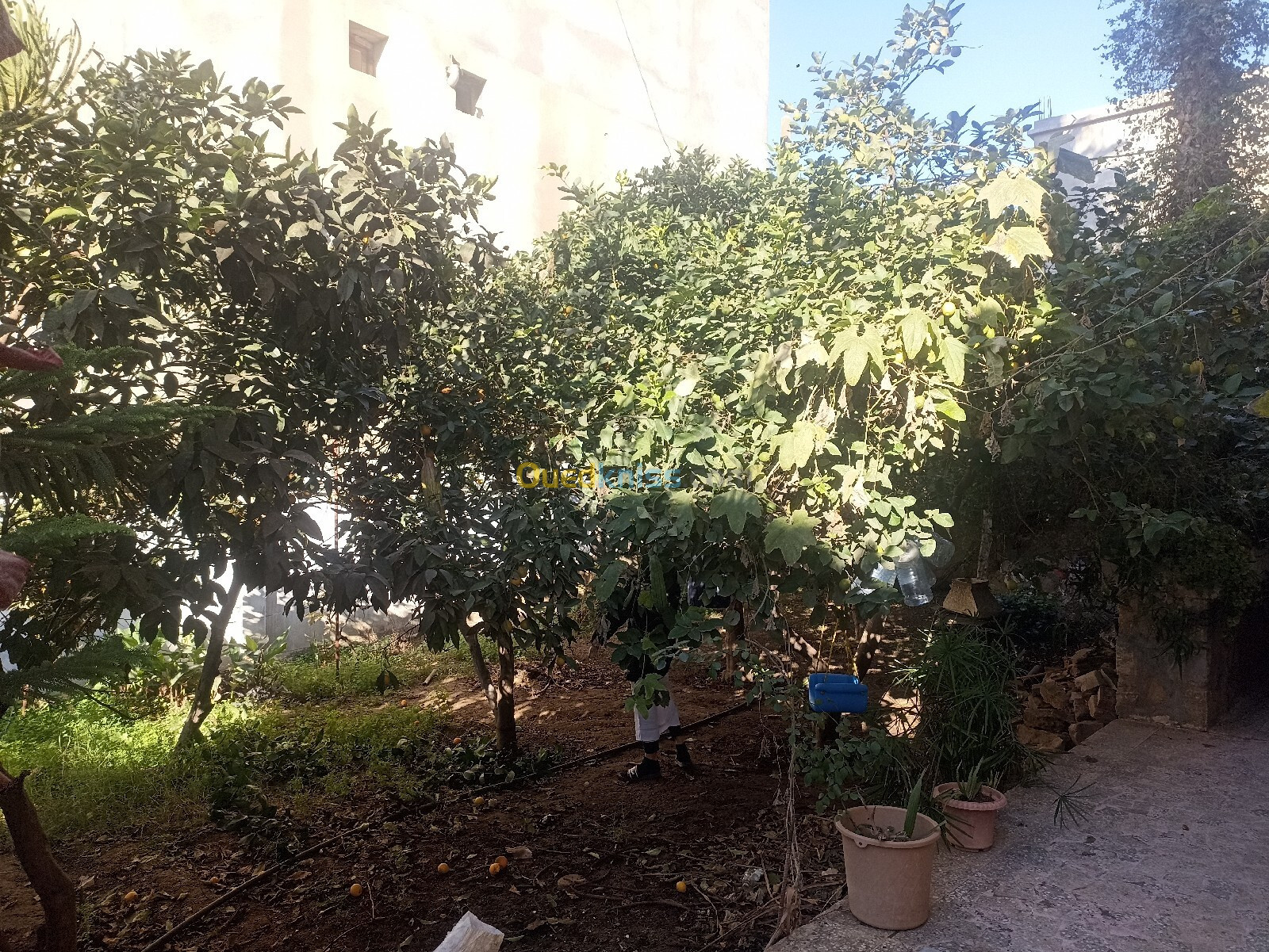 Vente Villa Alger Hraoua