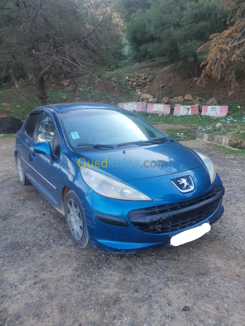 Peugeot 207 2007 207