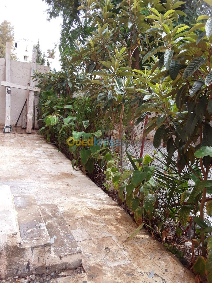 Location Appartement F3 Alger Ain naadja