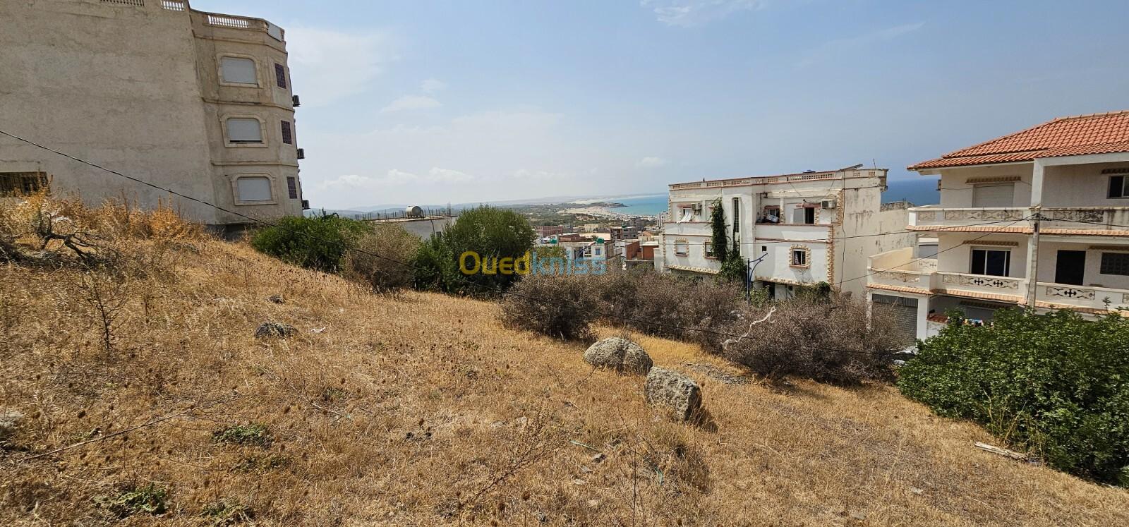 Vente Terrain Skikda El marsa