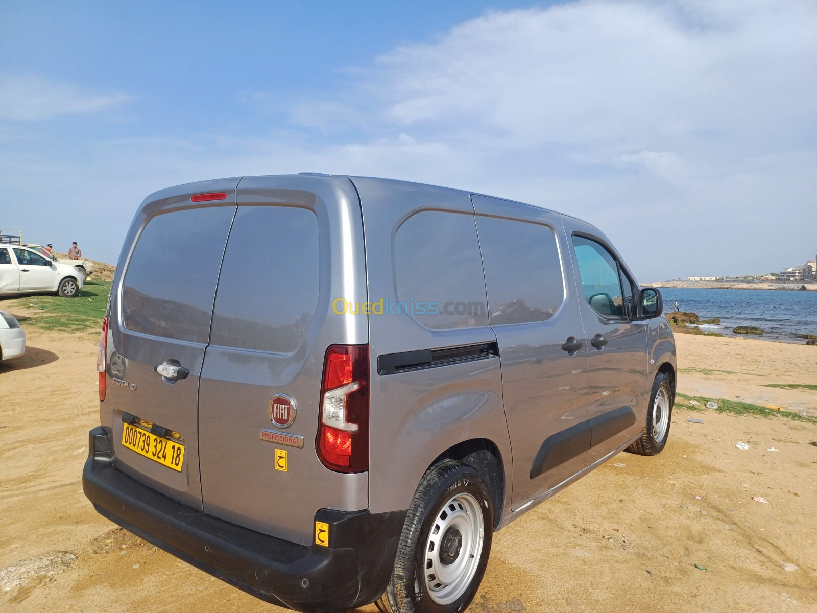 Fiat Professional Doblo 2024 