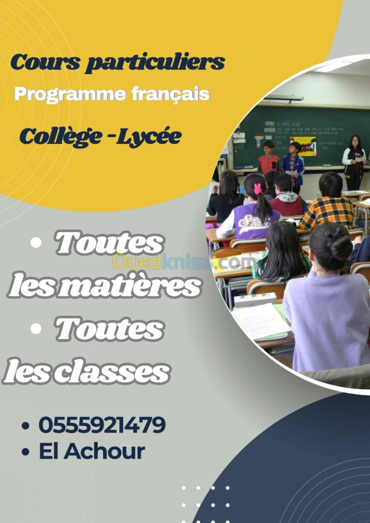 Cours particuliers toutes les matières / classes programme français + Examen de Bac blanc 