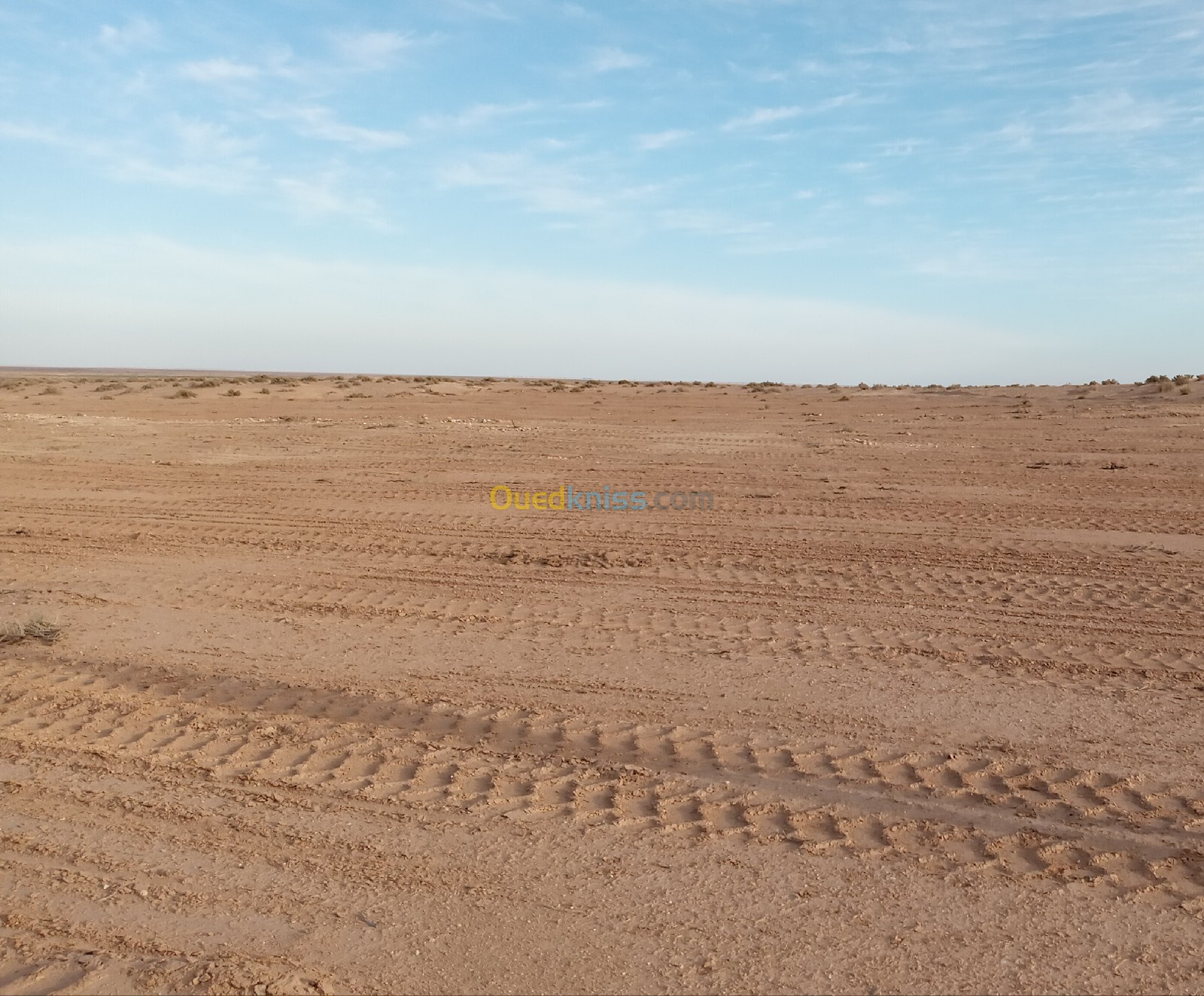 Vente Terrain Agricole Biskra Ain naga