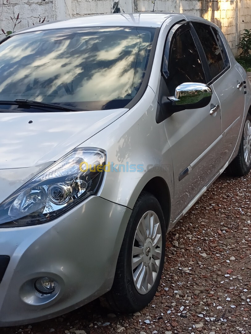 Renault Clio 3 2010 Clio 3