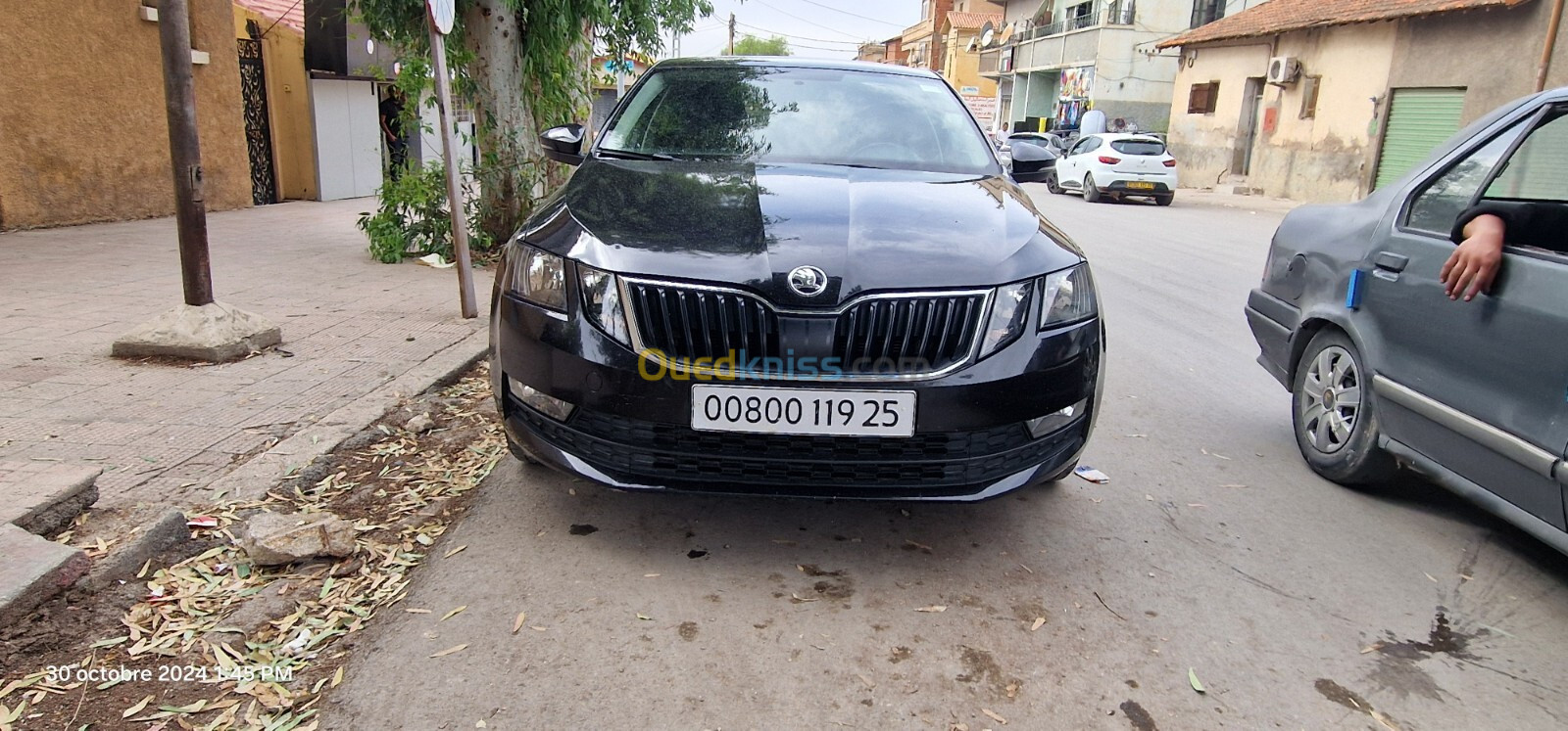 Skoda Octavia 2019 Business