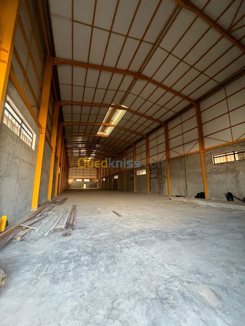 Location Hangar Blida Beni tamou