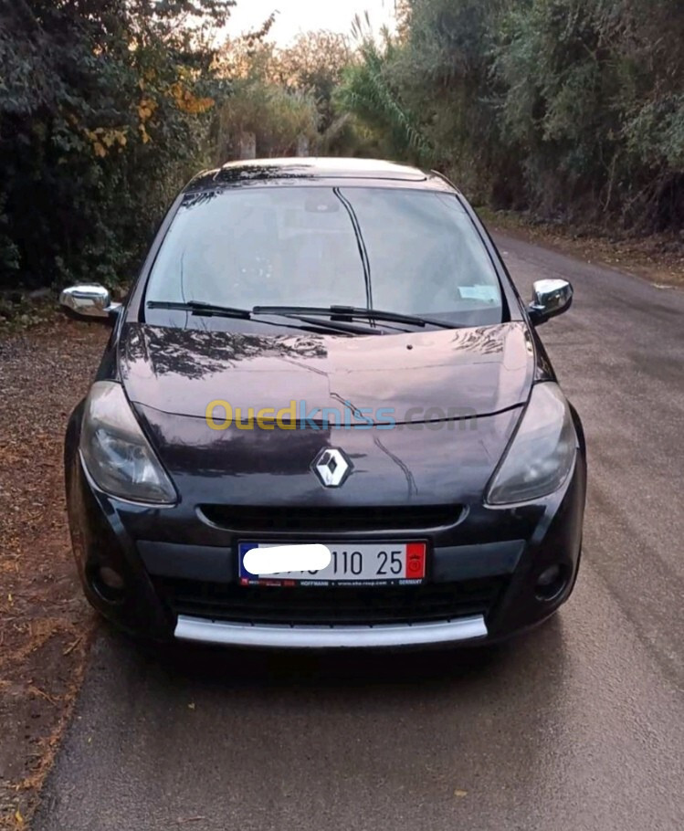 Renault Clio 3 2010 Dynamique