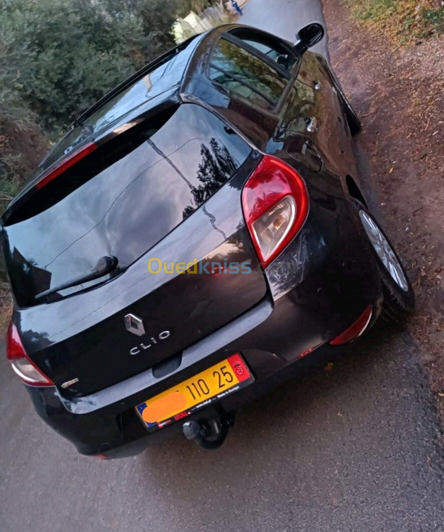 Renault Clio 3 2010 Dynamique