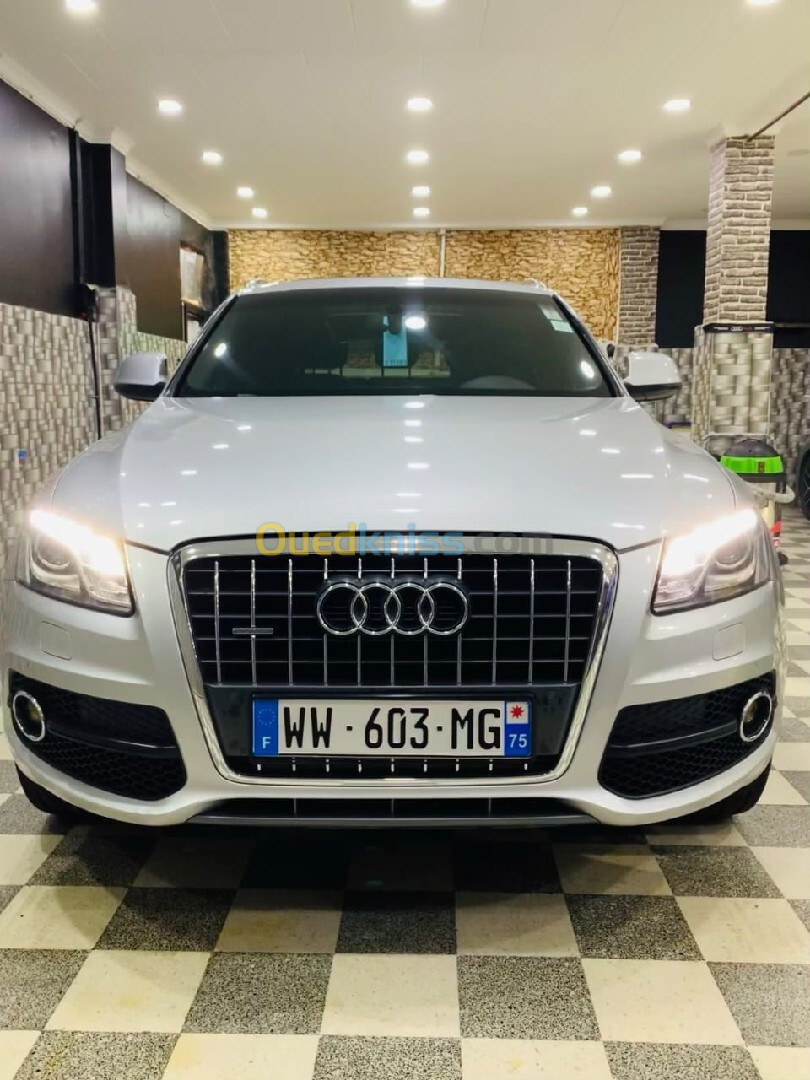 Audi Q5 2010 S Line quattro