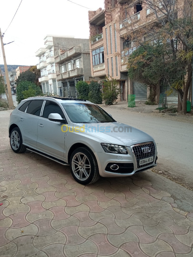 Audi Q5 2010 S Line quattro