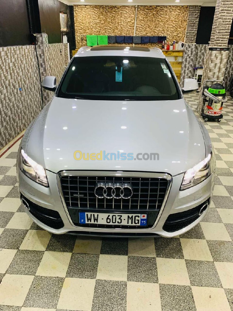 Audi Q5 2010 S Line quattro