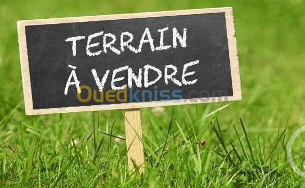 Vente Terrain Oran Oran