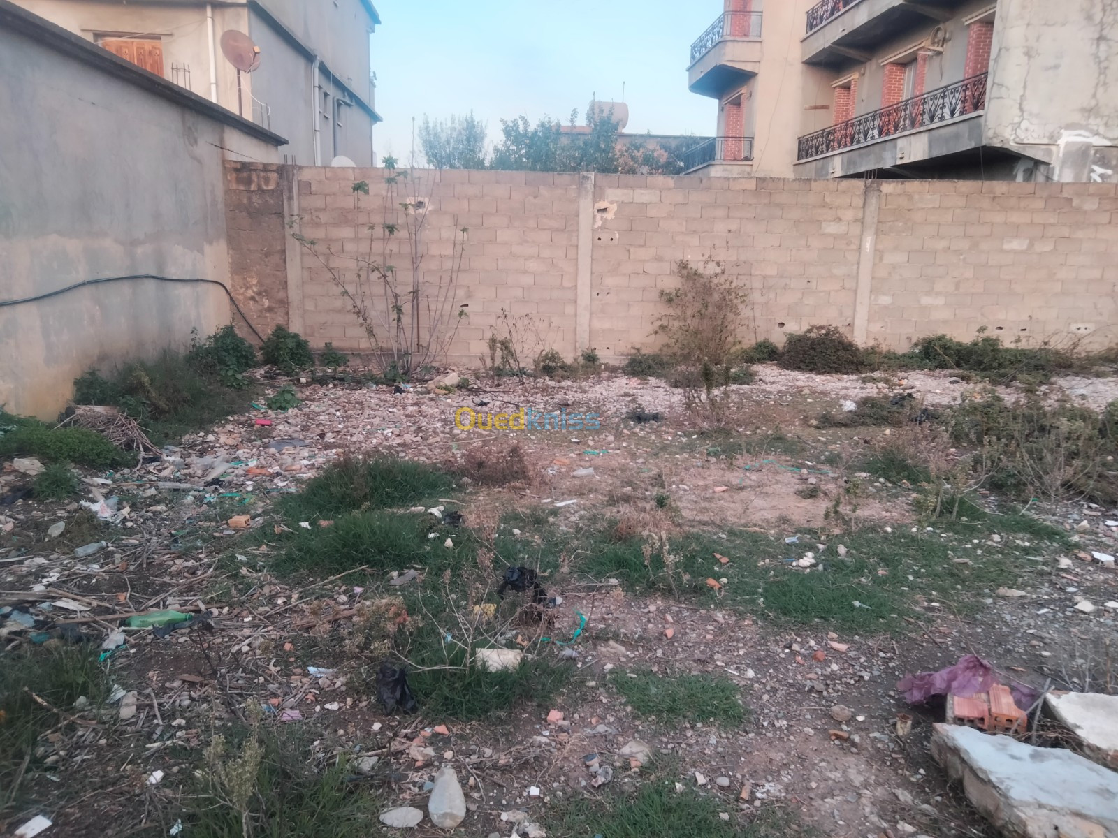 Vente Terrain Alger Reghaia