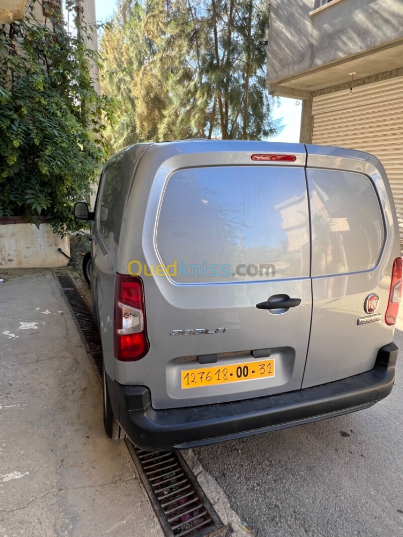 Fiat Doblo dz 2024 2 places