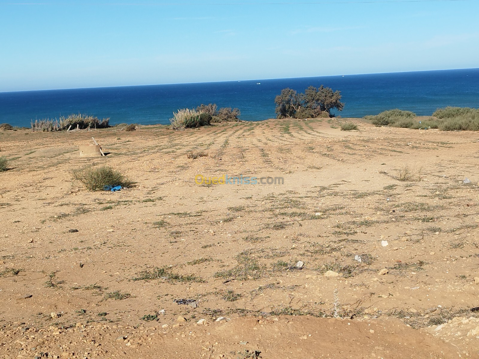 Vente Terrain Mostaganem Abdelmalek ramdane