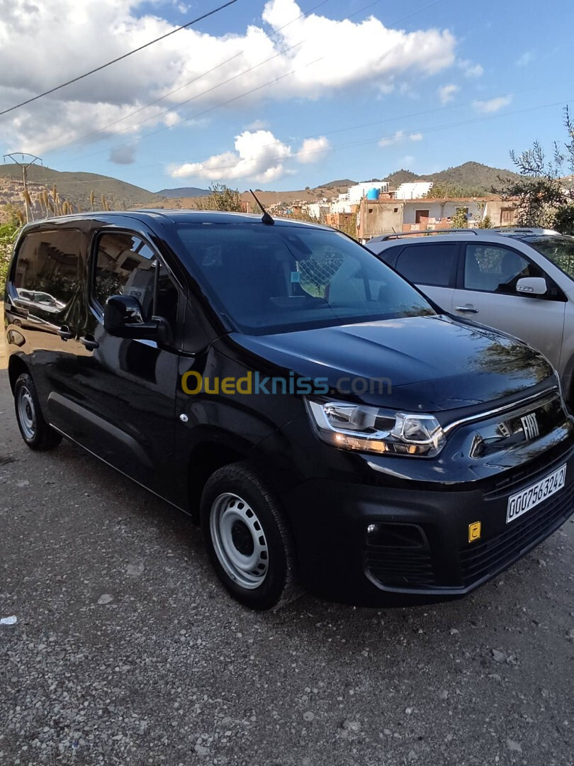 Fiat Professional Doblo 2024 Doblo