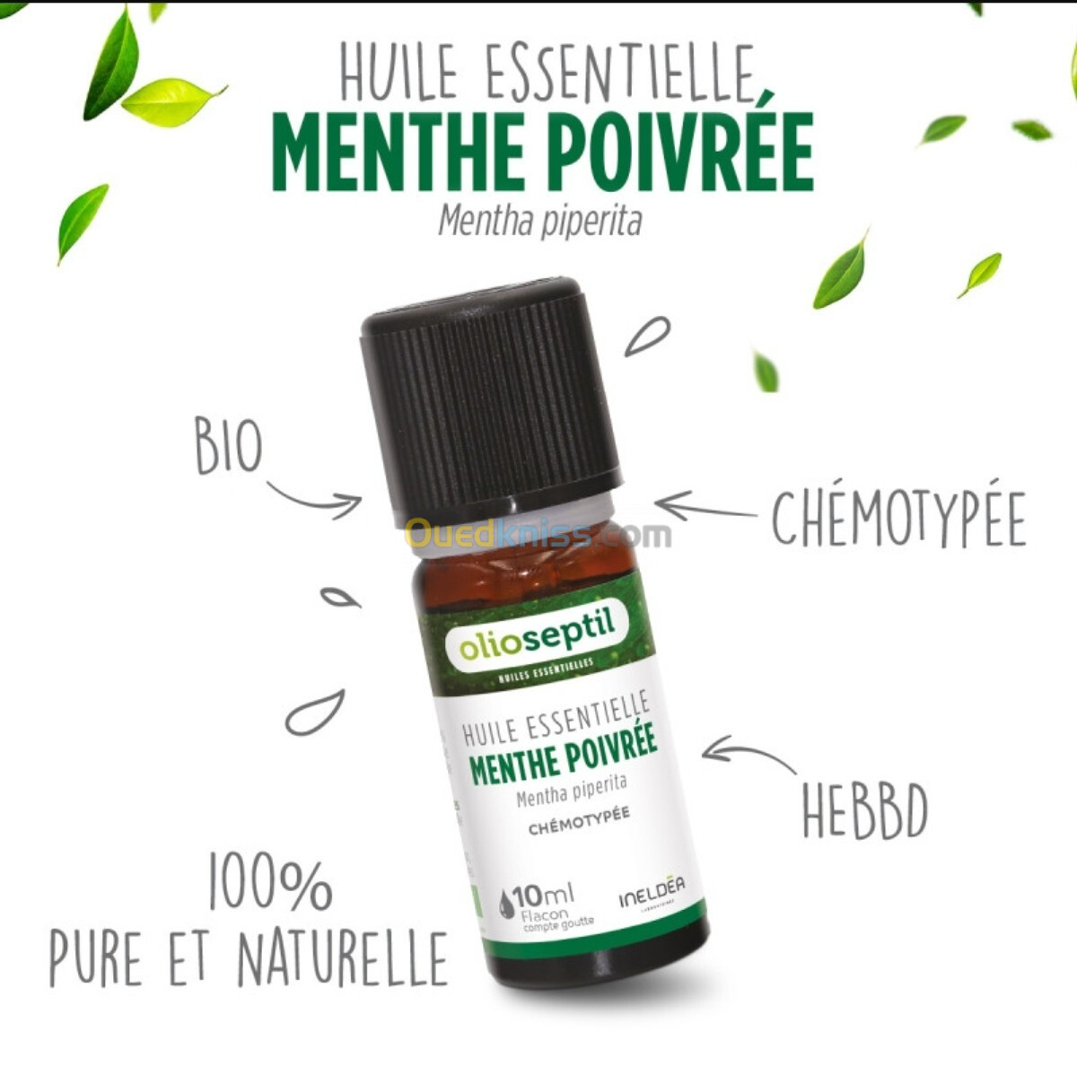 Huile Essentielle De Menthe Poivrée 100% Pure