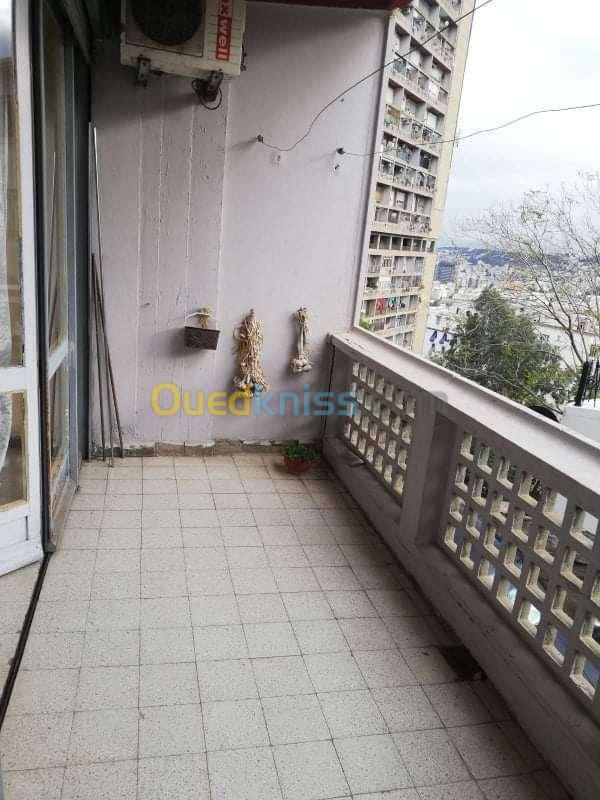 Vente Appartement F3 Alger Alger centre