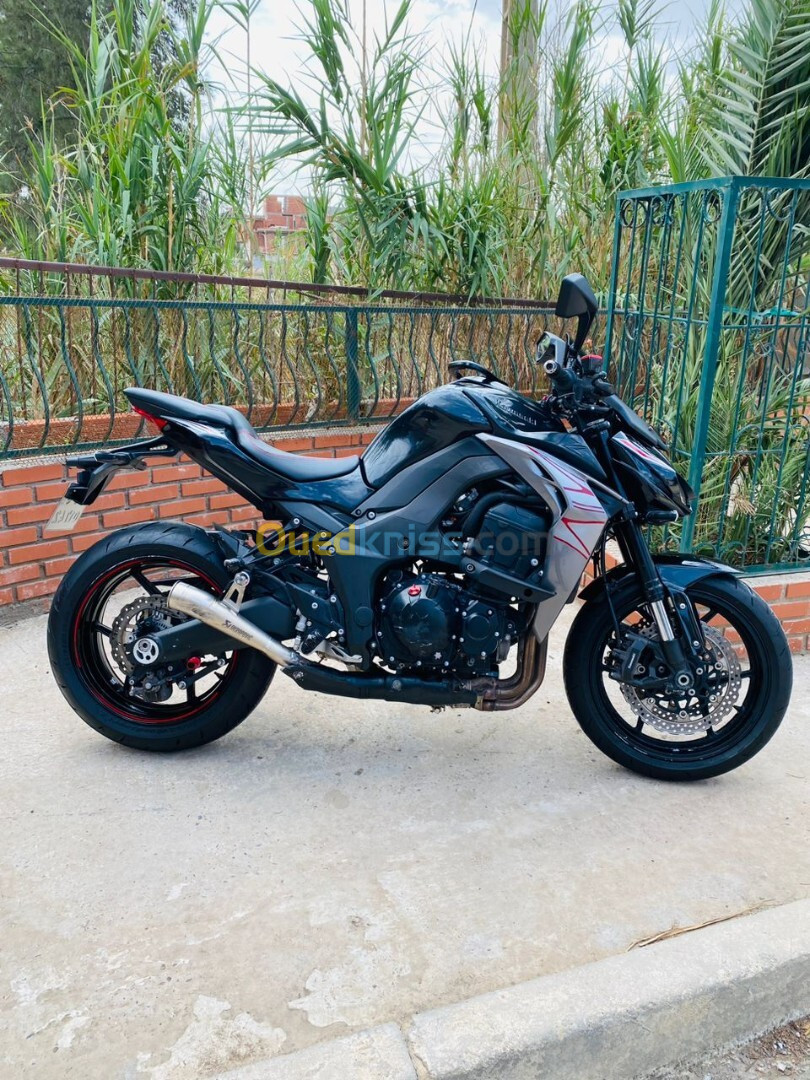 Kawasaki Z1000 robo édition R 2019