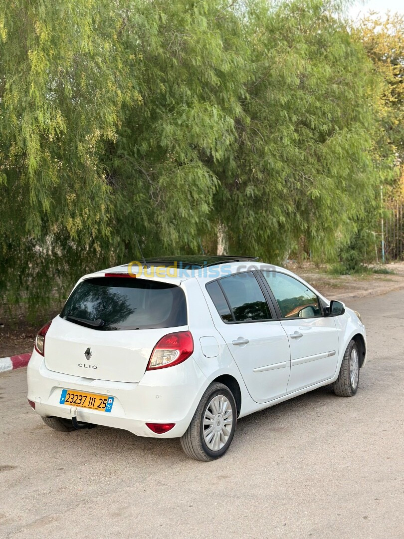 Renault Clio 3 2011 Night and Day