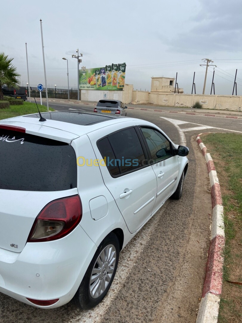 Renault Clio 3 2012 Night and Day