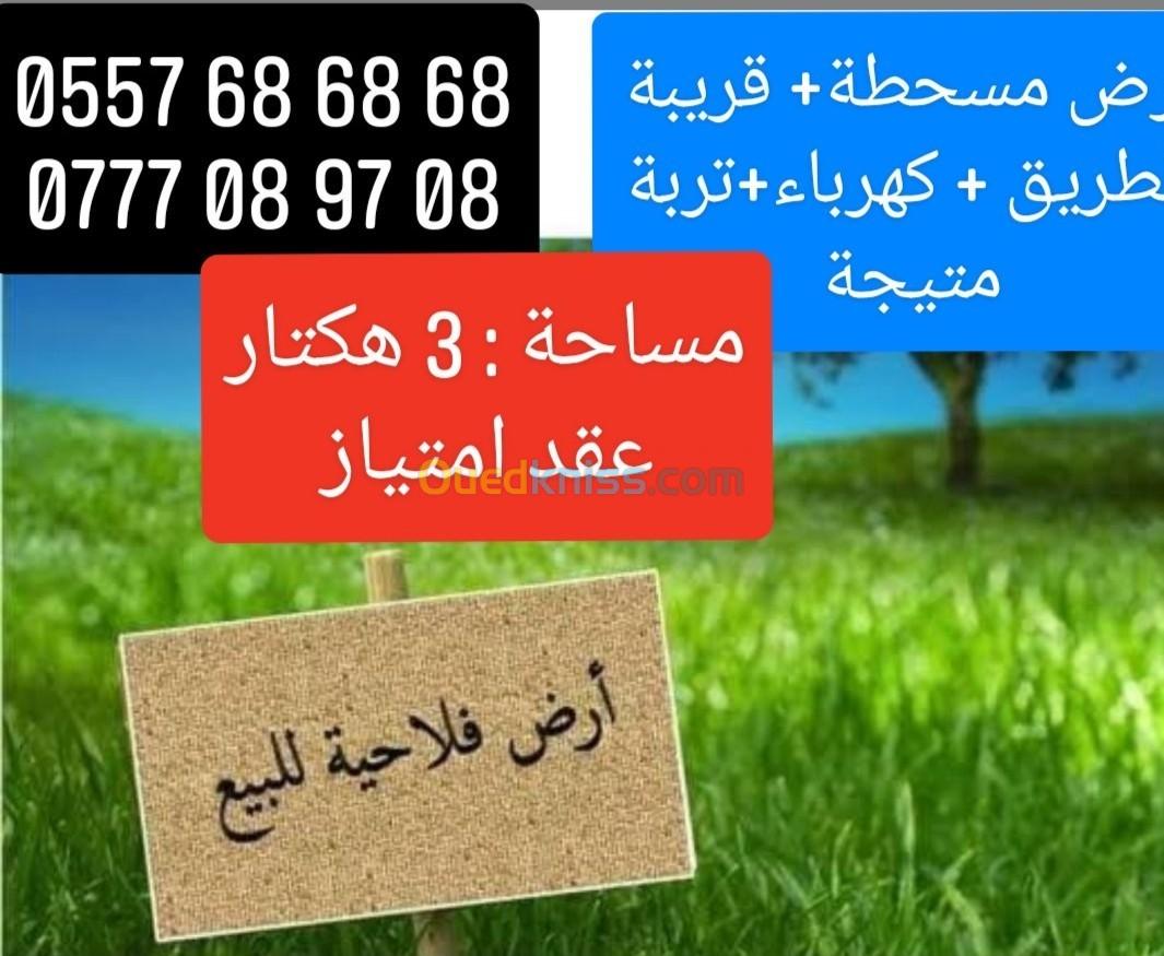 Vente Terrain Agricole Tipaza Nador