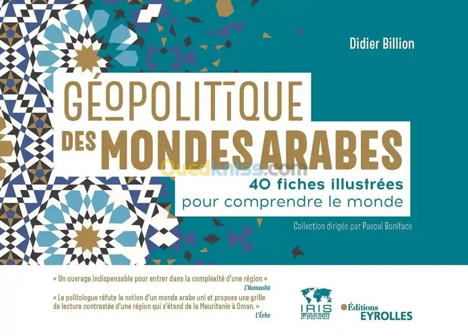 Géopolitique des mondes arabes - 40 fiches illustrées pour comprendre le monde 