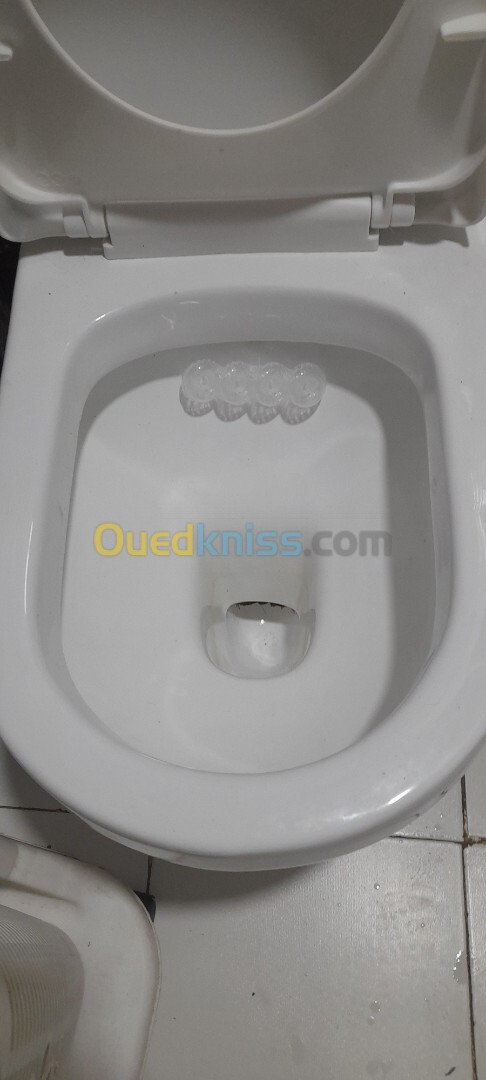 Cuvette toilette importation