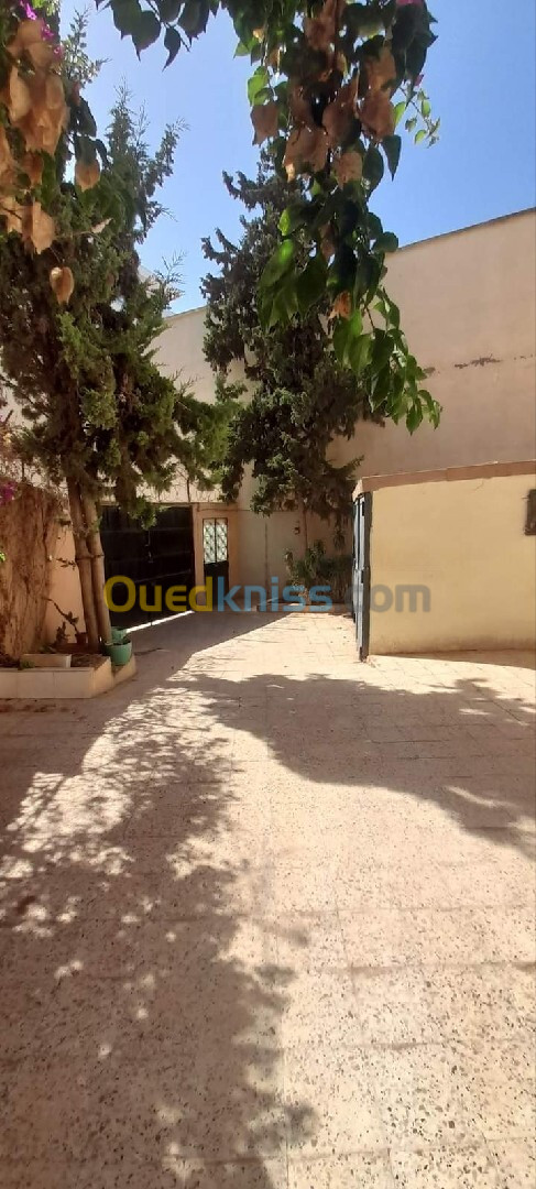 Location Appartement F3 Oran Oran