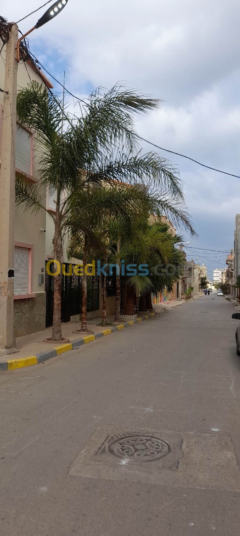 Vente Appartement F2 Oran Ain el turck