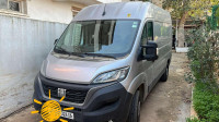 utilitaire-fiat-ducato-2024-el-biar-alger-algerie