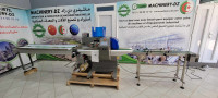 industrie-fabrication-flow-pack-350mm-bejaia-tala-hamzadaira-algerie