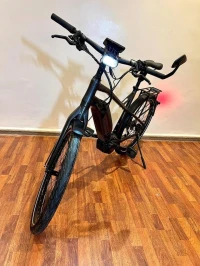 Vélo électrique Flyer U série speed 45/H