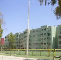 Location Local F4 Oran Oran