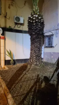Location Local Alger Baba hassen