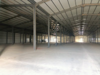 hangar-location-alger-oued-smar-algerie