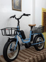 velos-velo-electrique-cargo-fat-bike-khenchela-algerie