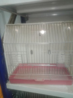 accessoire-pour-animaux-cage-oiseaux-algerie