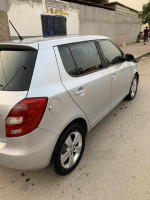 voitures-skoda-fabia-2014-fresh-beni-tamou-blida-algerie