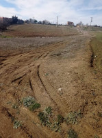 terrain-agricole-vente-medea-berrouaghia-algerie