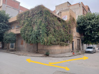 niveau-de-villa-vente-f12-setif-el-eulma-algerie