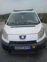 fourgon-peugeot-expert-2009-el-milia-jijel-algerie