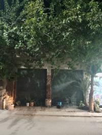 أرض-بيع-البليدة-بوقرة-الجزائر