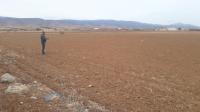 terrain-vente-batna-ain-touta-algerie