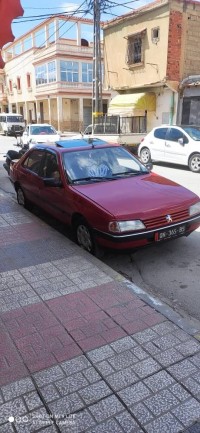 cars-peugeot-405-1995-ain-azel-setif-algeria
