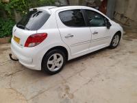 voitures-peugeot-207-2011-medea-algerie