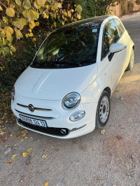 voitures-fiat-500-2024-club-tlemcen-algerie