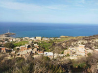 terrain-vente-tipaza-gouraya-algerie